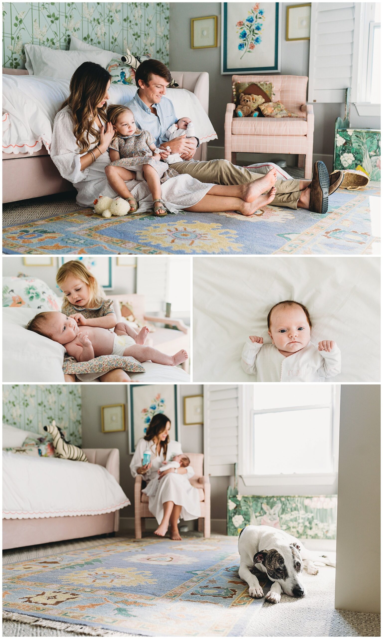 newborn baby on a bed, big sister and newborn sitting together, dog in a pink nursery