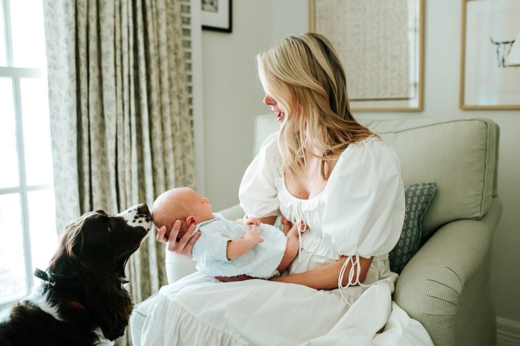family photos at home with a dog and new baby are so special